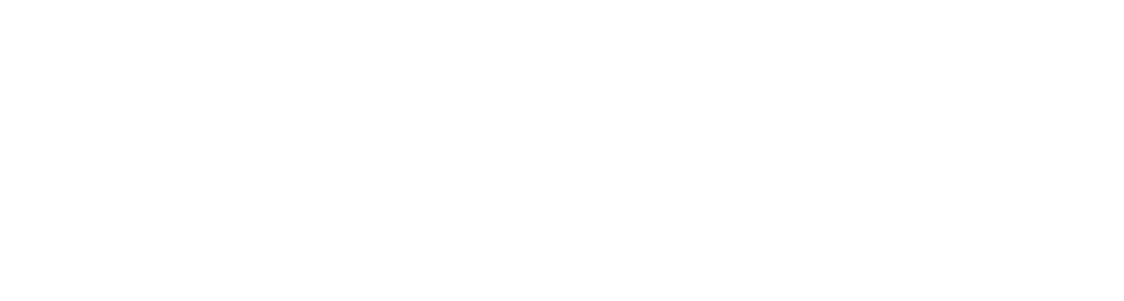Prudent Wealth Partners Logo White