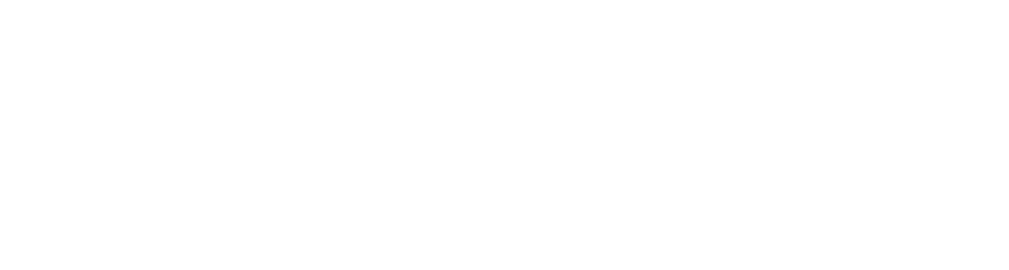Prudent Wealth Partners Logo White